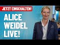 Alice Weidel live in Karlsruhe   Aufzeichnung