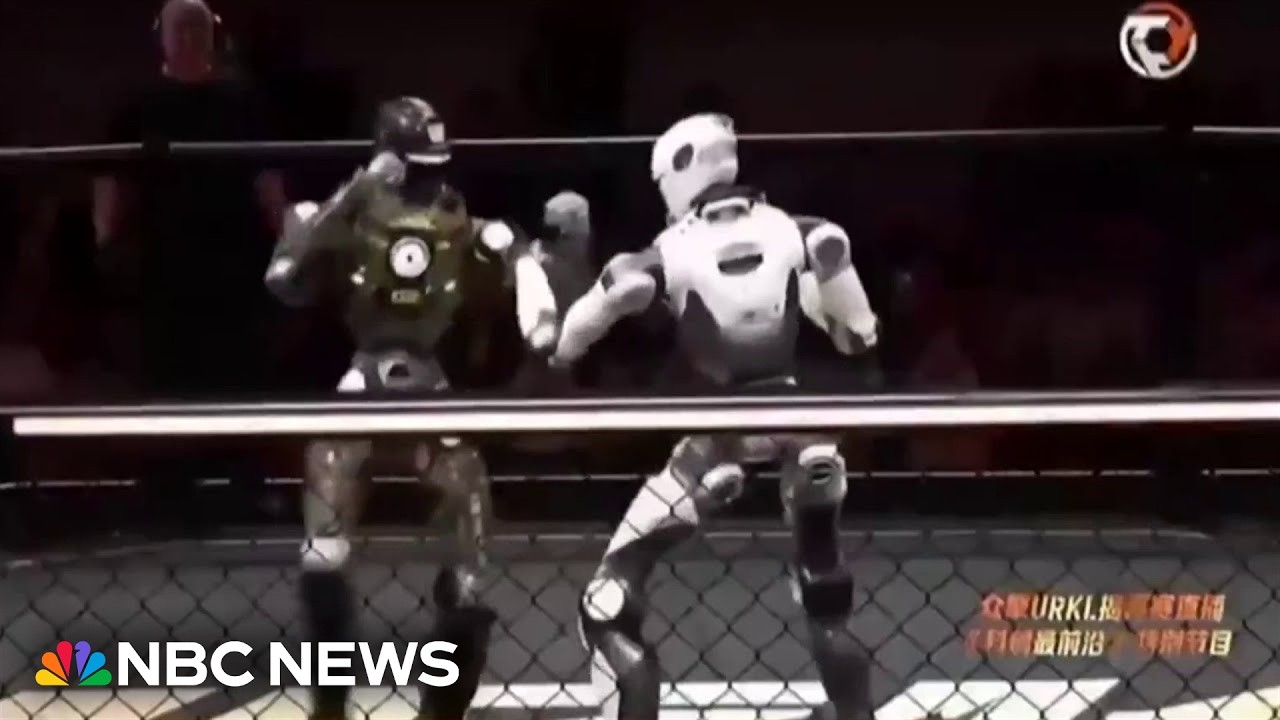 Inside the world of robot fight clubs