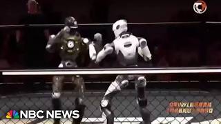 Inside the world of robot fight clubs