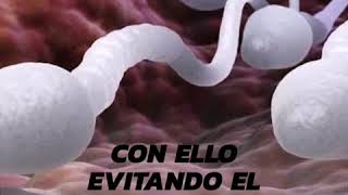 Manuel Calao-33