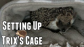 My New Hedgehog's Cage Tour