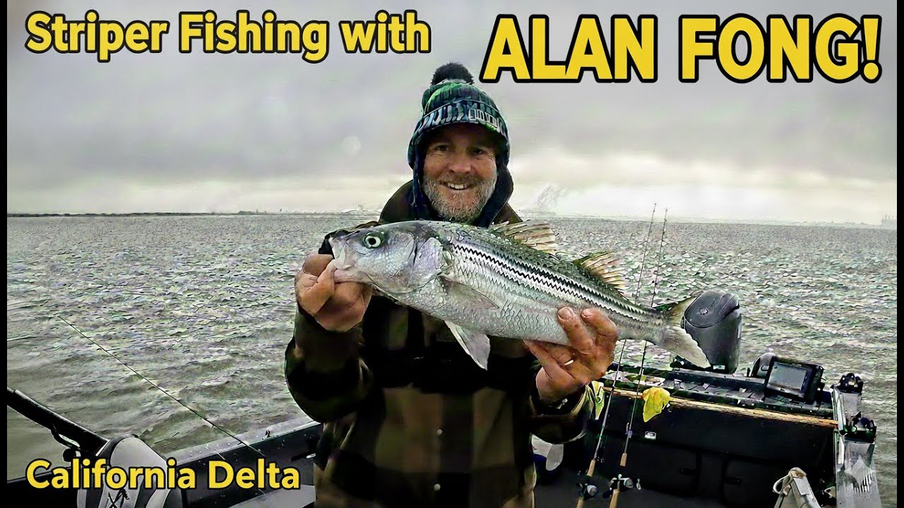 Striper Fishing with Alan Fong | Blind Squirrel Channel