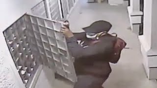 Arrest of the Month: Apartment Mail Thief Gets Stamped Out