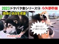 2023狂犬病予防注射会場のドタバタ劇⑭ 小矢部市編