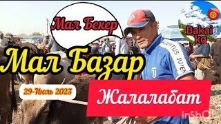 Мал Базар Жалалабат Малдар Өлду Жакшы Жарамазан Айтса Бекер Берем