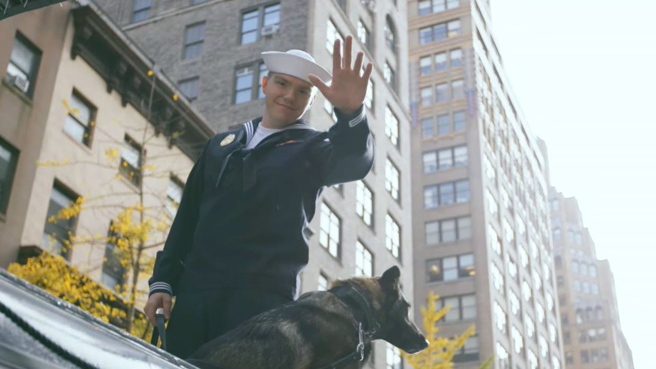 The Veterans Day Parade, for everyone. 