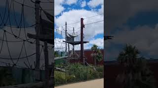 Not monkey 🙉 this is gorilla 🦍 apes 🦧 #animals #nature#zoo#sydney#australiacricket