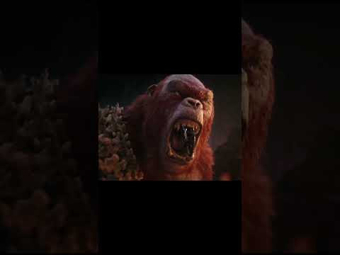 NEW &#39;Godzilla x Kong: The New Empire&#39; Trailer