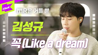 김성규_꼭 (Like a dream) | Kim Sungkyu | 인피니트 | INFINITE | MR은 거들 뿐 | Vocals Only Live | LYRICS