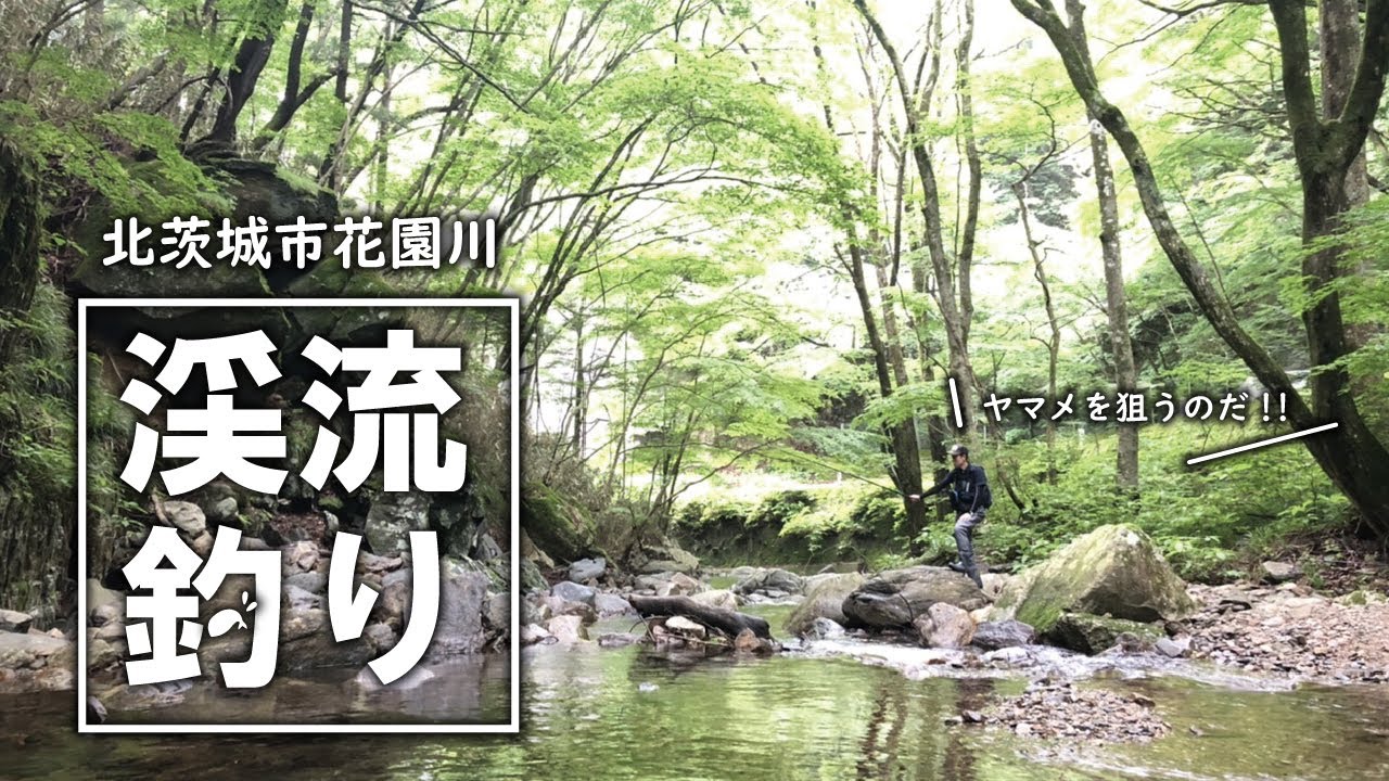 字幕on推奨 茨城 渓流釣り 花園渓谷で初心者３人 渓流釣りに挑戦 Youtube