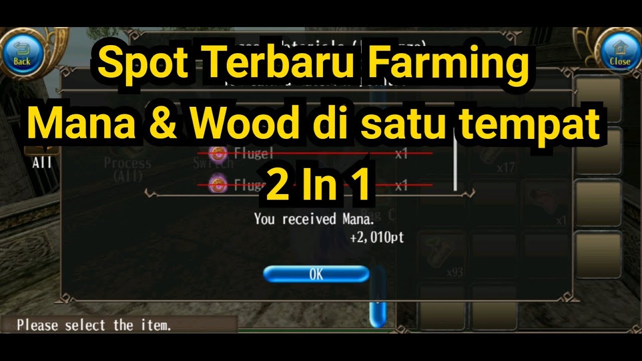 Toram Online Spot terbaru farming Wood & Mana di Satu Monster 2 In 1