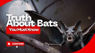 The Truth About Bats You Must Know