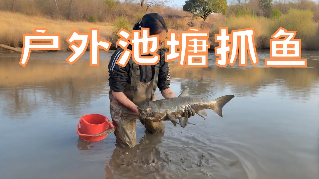 花2000包下粉絲山腳下，一口溪流甲魚池