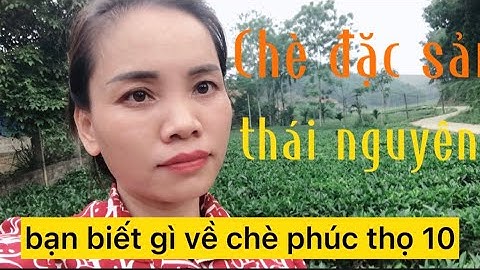 Chè đặc sản thái nguyên bạn đã biết gì về chè phúc thọ10 l Hương Trà 0fficial