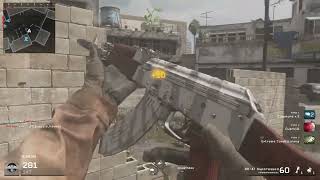 Cod 4 with bots