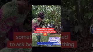 omugole eyatutte ekimuli ku malaalo ga maamawe bamulabudde