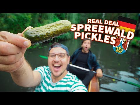 Video: Tysklands bästa pickle: Spreewaldgurken