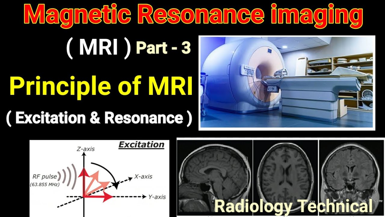 MRI Part 3 Principle Of MRI Excitation Resonance Magnetic mri-part-3-principle-of-mri-excitation-resonance-magnetic