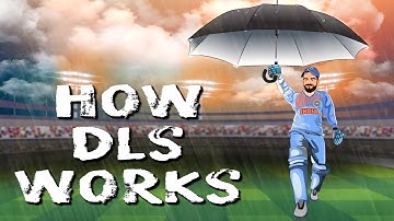 Deciphering DLS; Duckworth-Lewis Stern system, aka D/L method