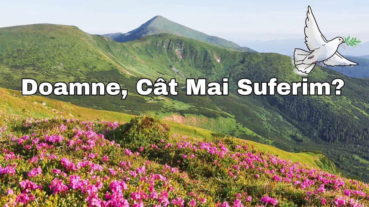 🙏 Doamne, Cât Mai Suferim  Strigătul Inimii Obosite către Dumnezeu 😢✨