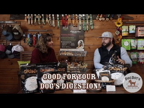 Digestive Dog Health: Rogue Pet Science Interview | Dog Diet & Wellness | DogBoy&rsquo;s DogVlog