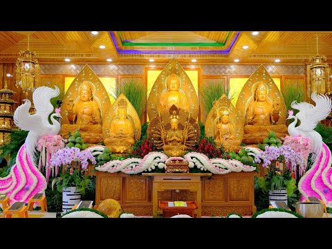 Trực Tiếp Trợ Niệm 24/24 Tại Phòng Hộ Niệm Chùa Quan Thế Âm - Đức Trọng - Lâm Đồng.
