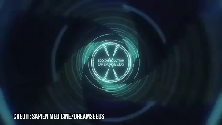 Ego Dissolution | Dream Seeds (Morphic Field)