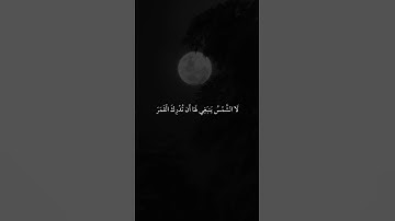 تلاوة هادئة بصوت الشيخ ماهر المعيقلي ارح سمعك.
