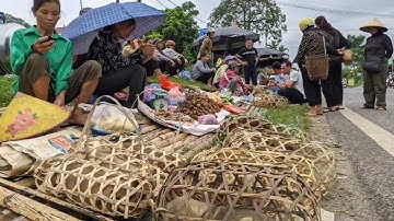 Chợ phiên vùng cao của người dân tộc Mường ở Hòa Bình toàn món độc lạ / Trạmtv
