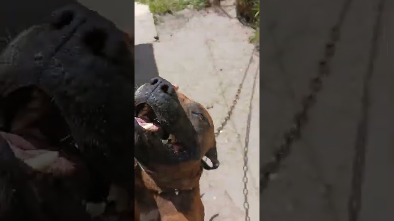 8th.St.Mike.  Street Love 2