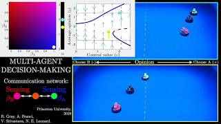 Multi-agent decision-making: Hysteresis with changing information value