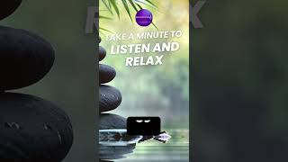 🕒 1-Minute Timer with Relaxing Music