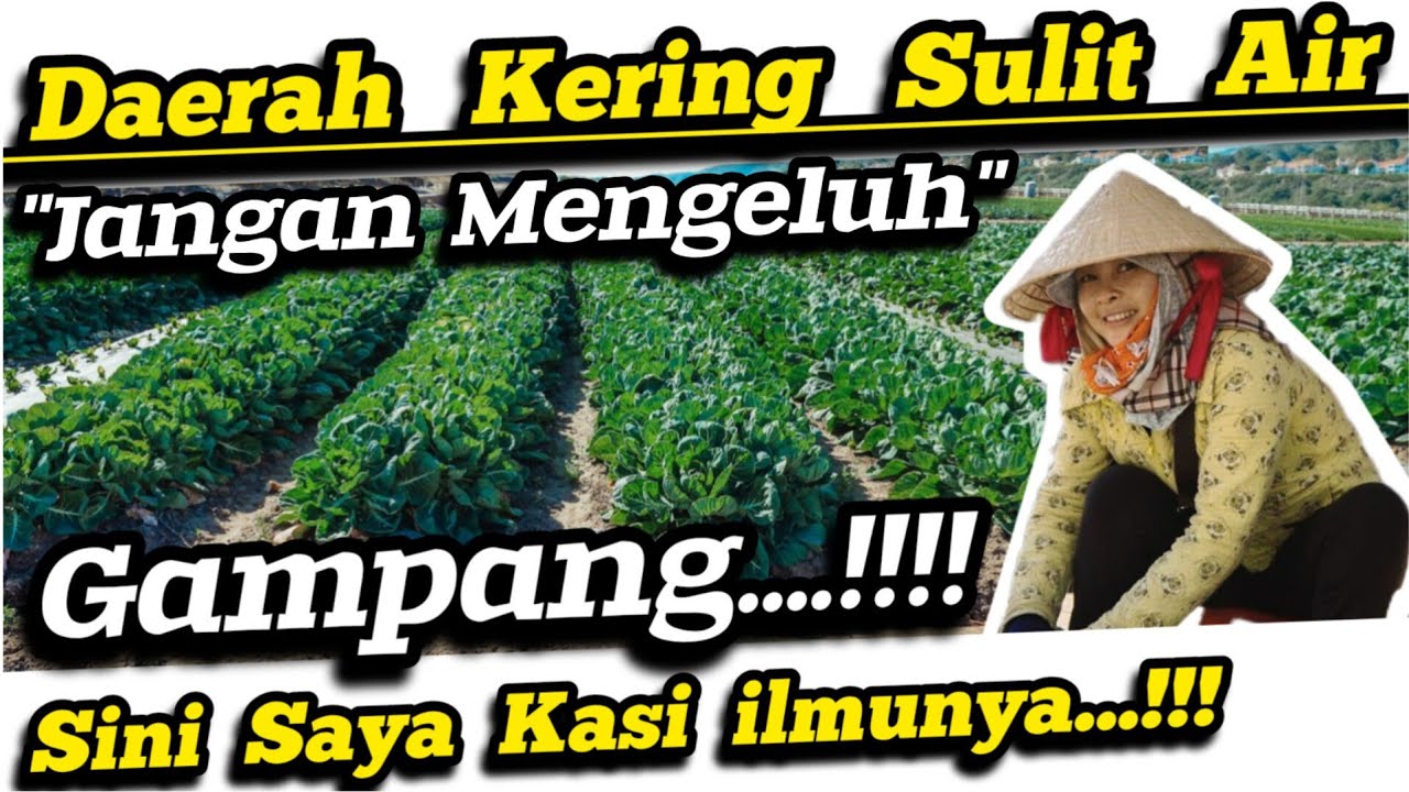 🔴 Air Pun Beli‼️Solusi Daerah Kering Sulit Air Agar Tanaman Tetap Subur, Sehat, Panen Melimpah ✅