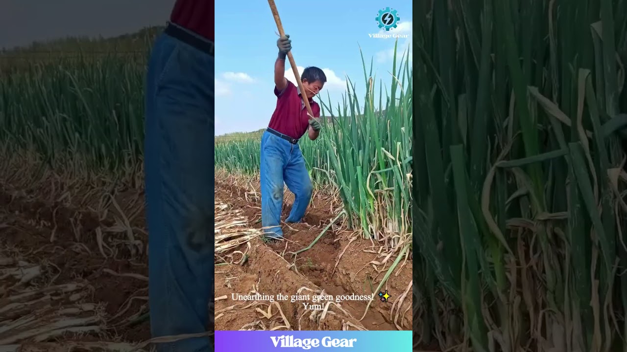 Green Onion Harvest ASMR? 🌱 That Digging Sound is Kinda Nice! 