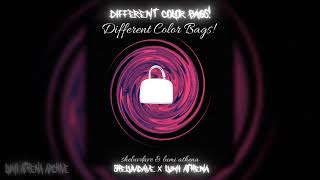 Sheluvdave - Different Color Bags! [prod. Lumi Athena] (Official Visualizer)