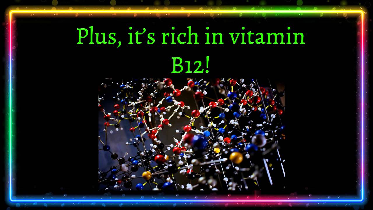 Quinoa good for your dog? YouTube