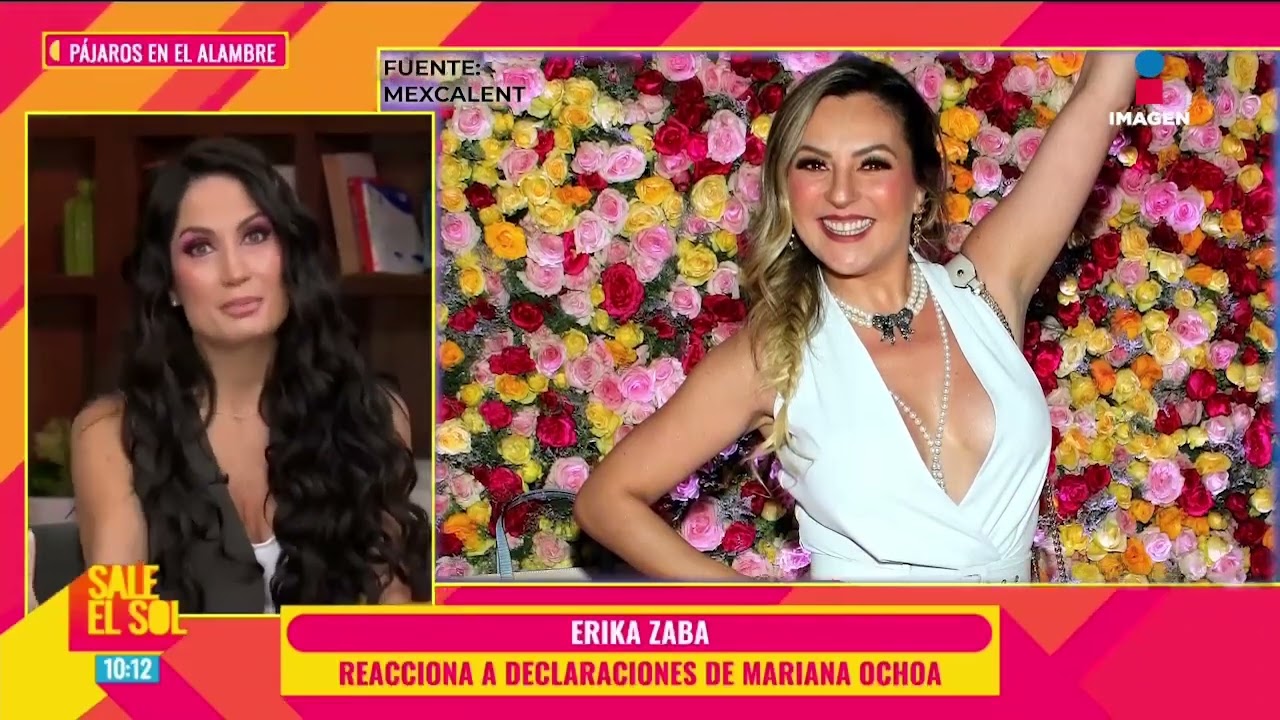 Erika Zaba pide a Mariana Ochoa dejar de hablar mal de OV7 | Sale el Sol