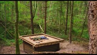 100 Days Building a Cabin Alone in the Wilderness… Here’s What Happened