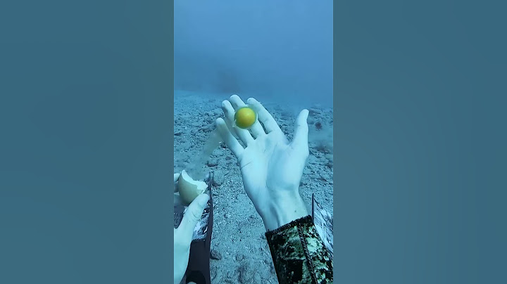 Diver Performs Eggsperiments at 60 ft Deep #shorts #egg
