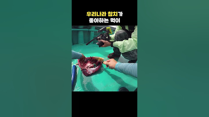 우리나라에서 잡힌 참치 배 속을 열어보았더니... #shorts #tuna #tunafishing