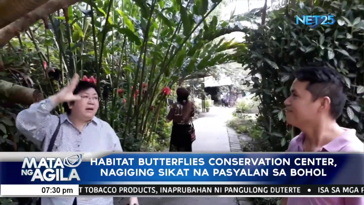 Habitat Butterflies Conservation Center, nagiging sikat na pasyalan sa