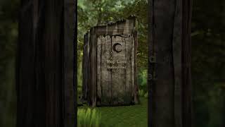 Somebody Once Told Me Shrek Animation Meme