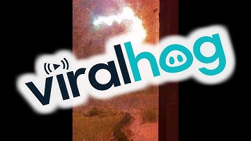 Power Surges into Storm Damaged Tree || ViralHog