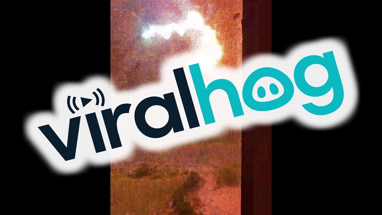 Power Surges into Storm Damaged Tree || ViralHog - YouTube