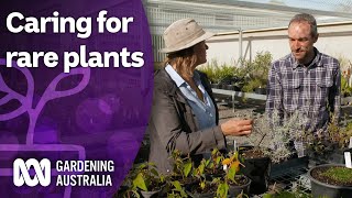 The large-scale operation cultivating rare plants Australian native plants Gardening Australia