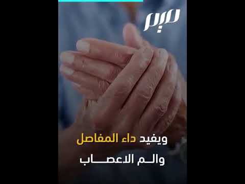فوائد شجر الكينا اوكاليبتوس
