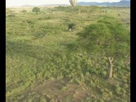 Videó: A Masai Mara Nemzeti Park Kenya leghíresebb természetvédelmi területe. Masai Mara jellemzői