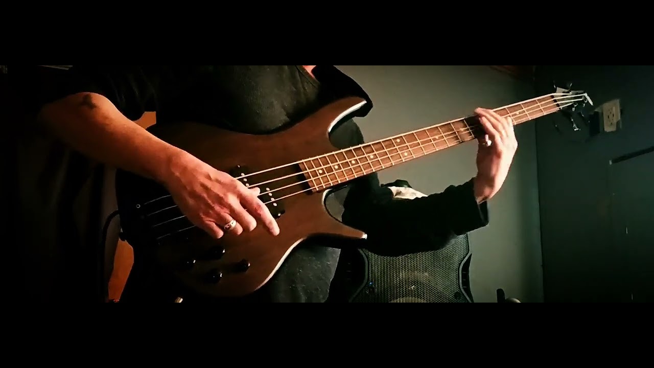 "Touch, Peel and Stand" by Days of The New Bass therapy jam YouTube