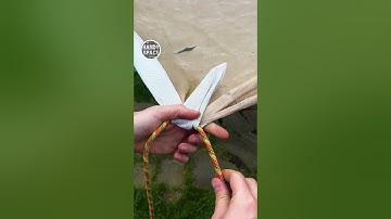 Why Everyone is Talking About This Corner Knot Technique! #rope