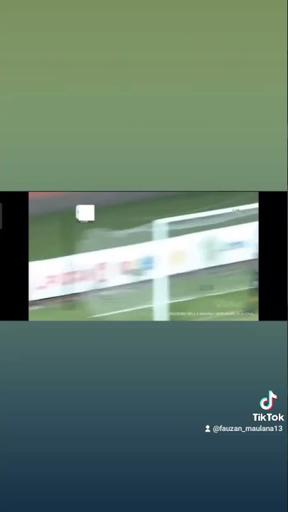 CUPLIKAN GOL PERSIB VS PERSIRAJA OLEH WANDER LUIZ!! ASSIST FEBRI HARIYADI!!!